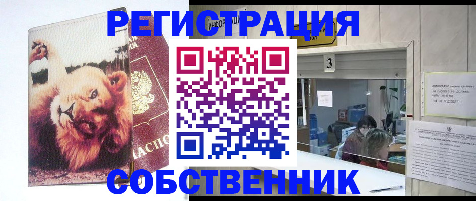 прописка поиск в Видном